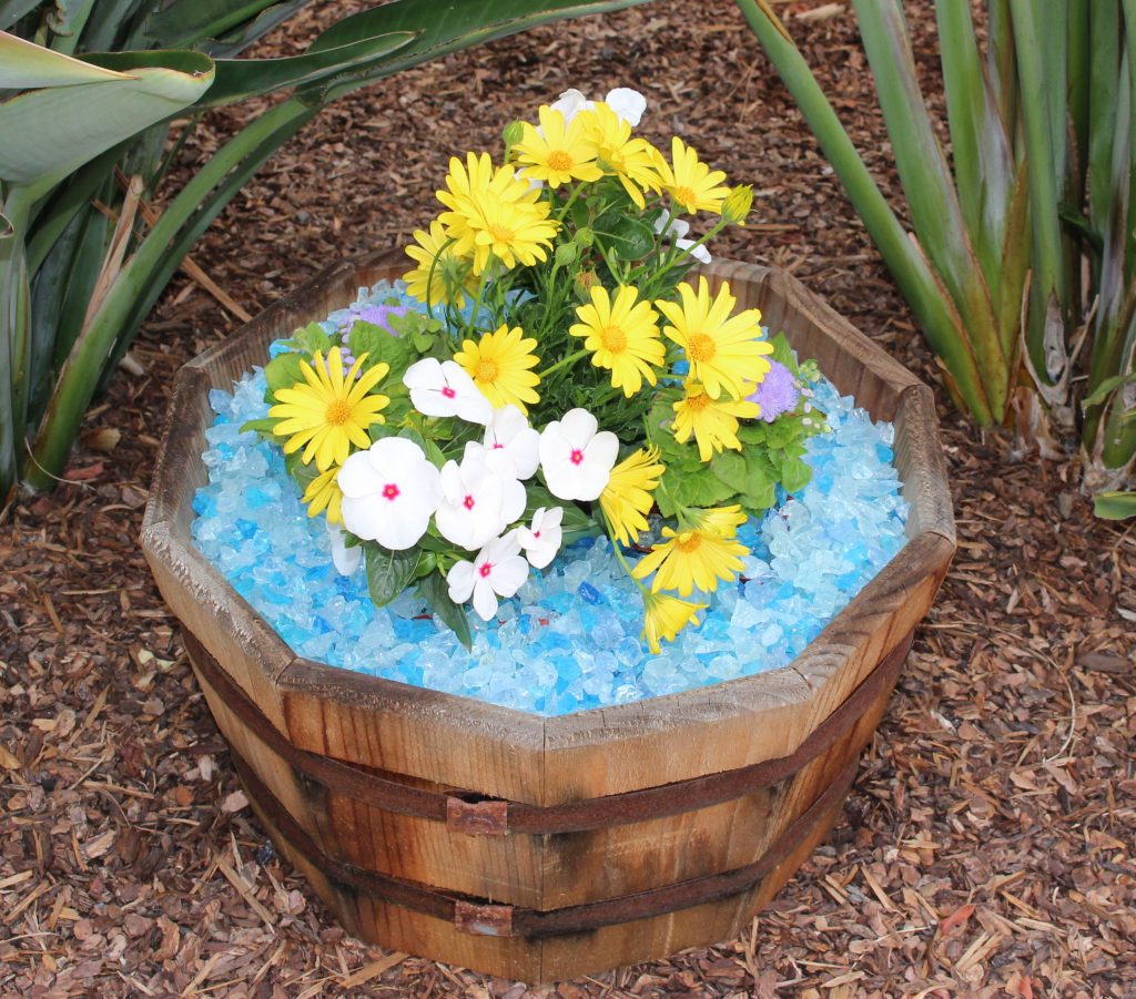 picture of bahama blend landscape glass in a flower pot