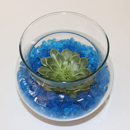 Turquoise Glass (Small ¼ inch - ½ inch)
