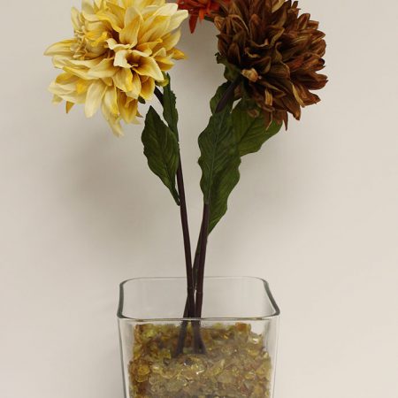Chestnut Glass (Small ¼ inch - ½ inch)
