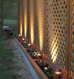 indirect light garden screen