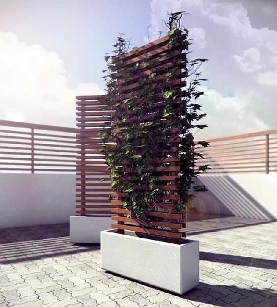 picture of a living wall