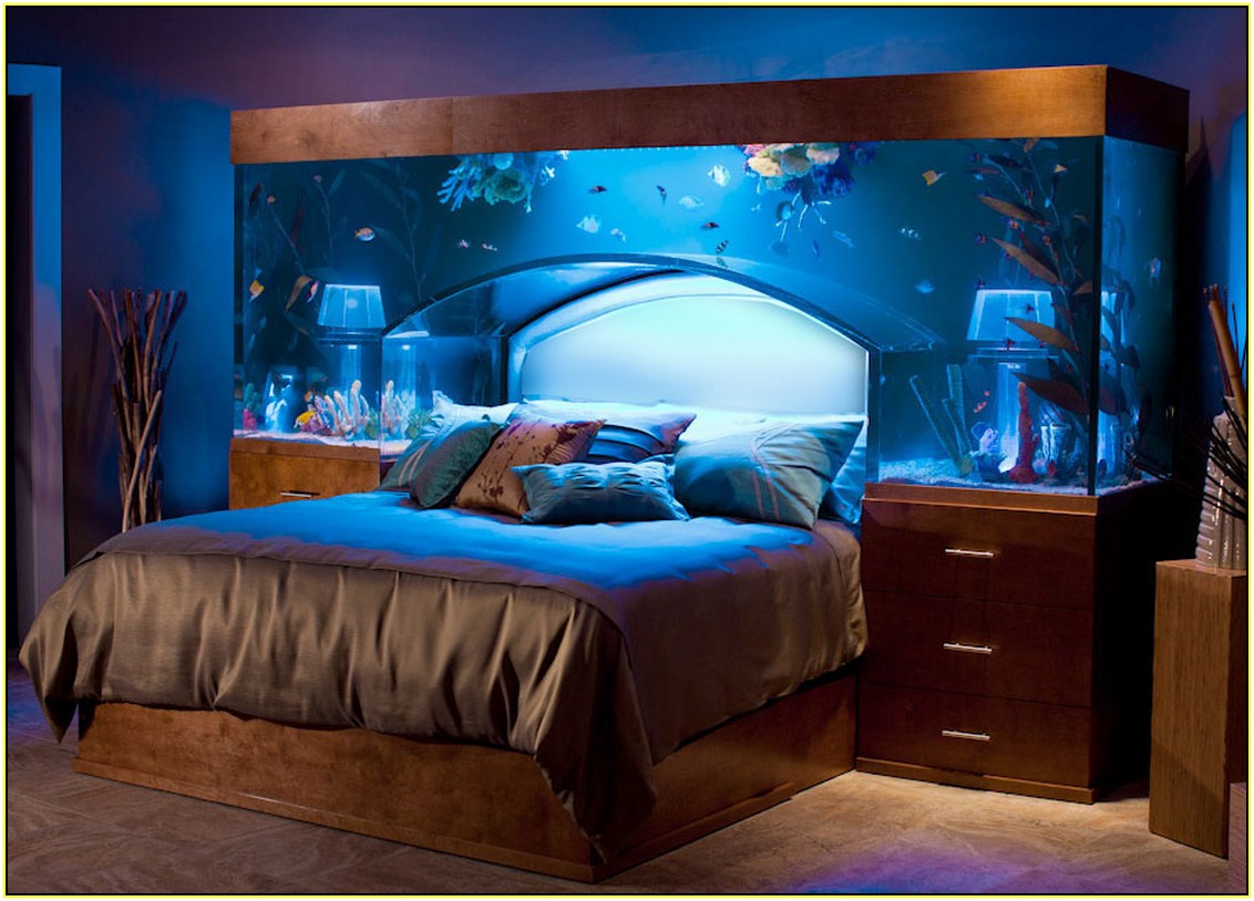 picture of amazing fish tank
