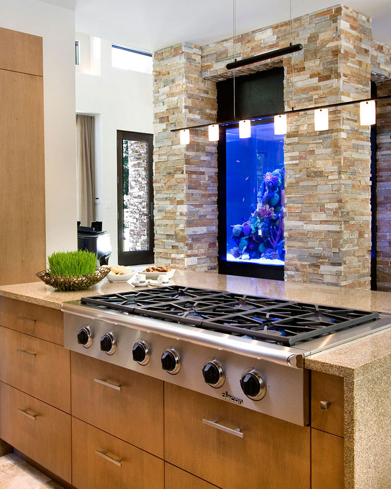 picture of fish tank in the kitchen