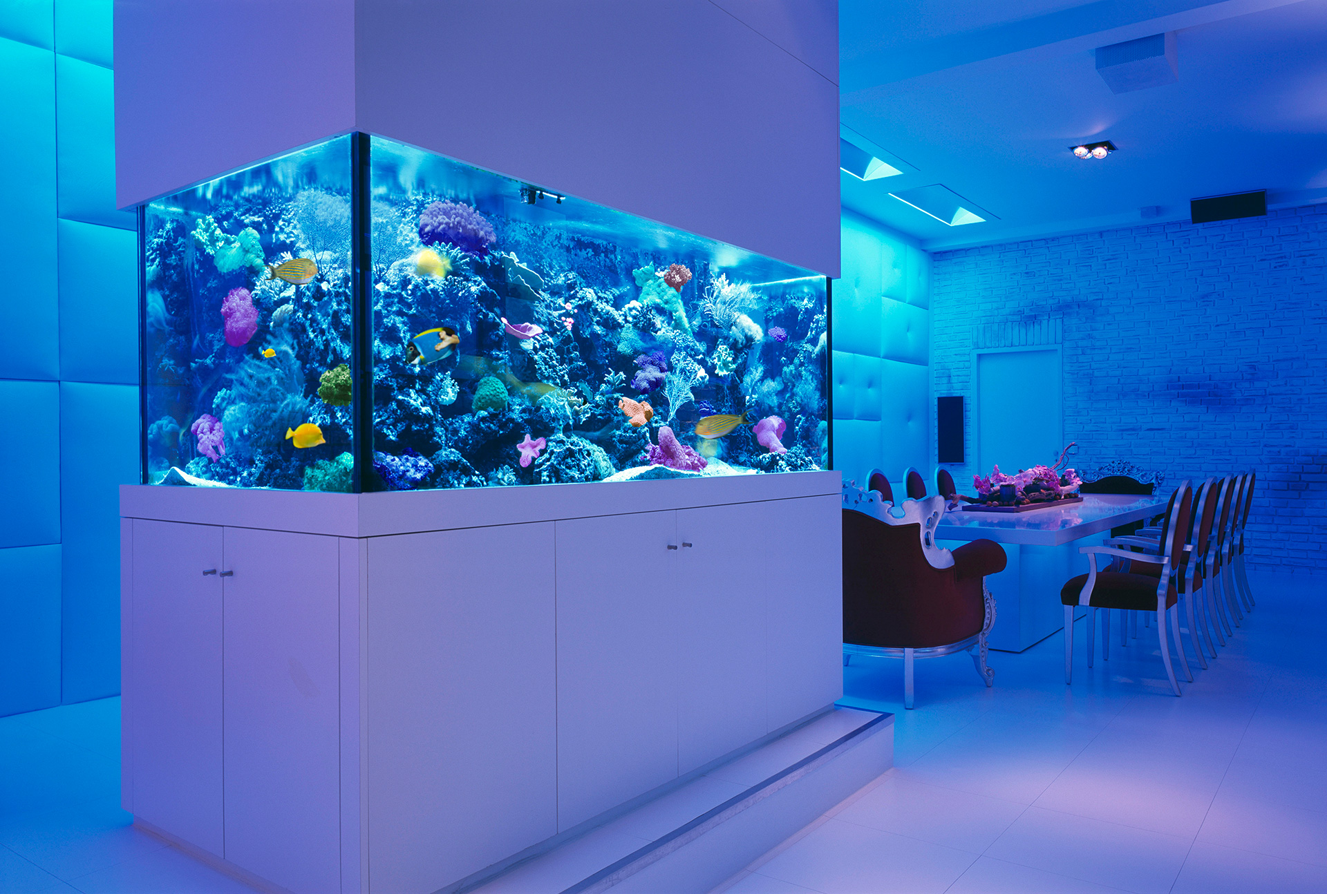 picture of white room blue tank