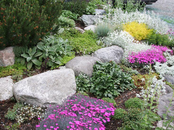 rock-garden-walls-rock-garden-plants